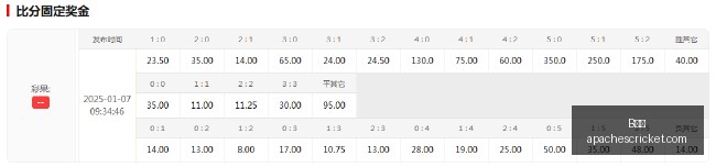 免费攻略深,度解析,山猫与狂热,B体育,B体育官网,B体育app,B体育直播